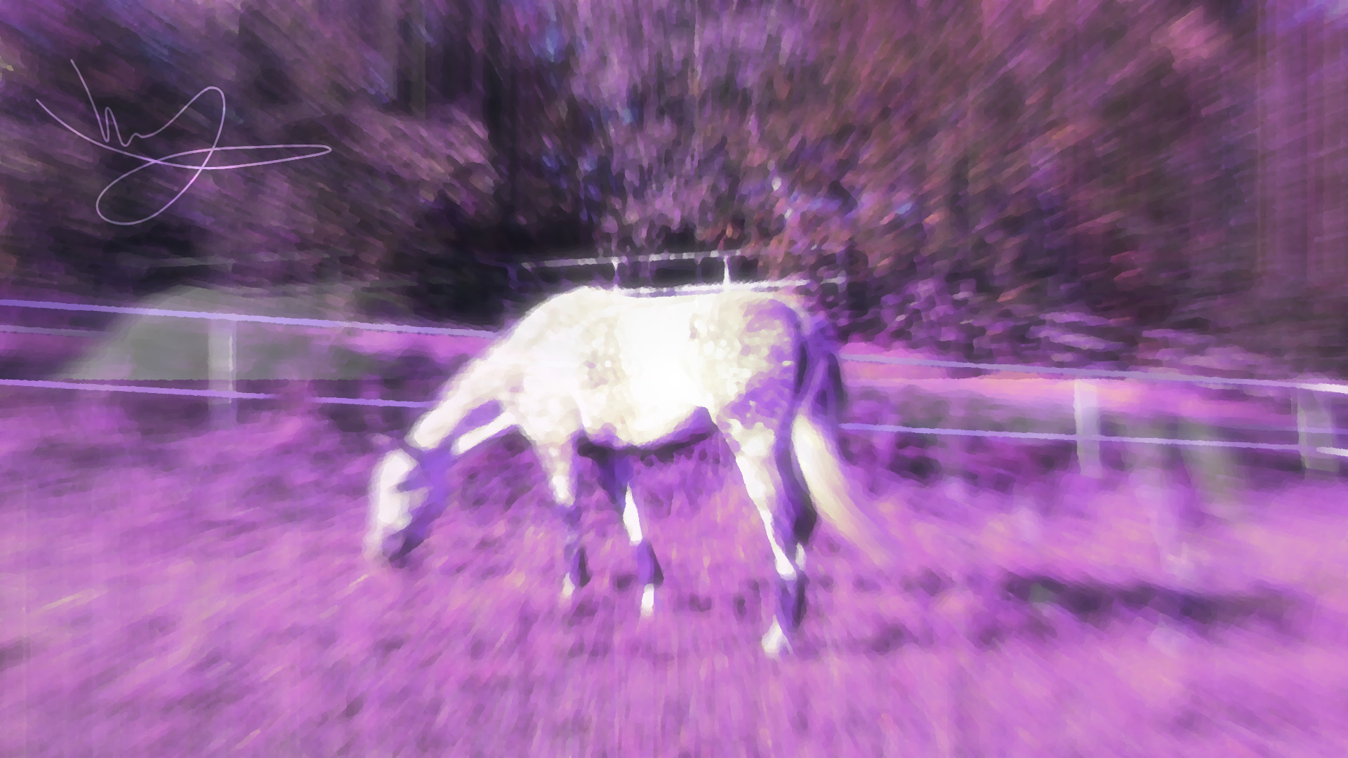 grafika autorstwa Vvjuxvex