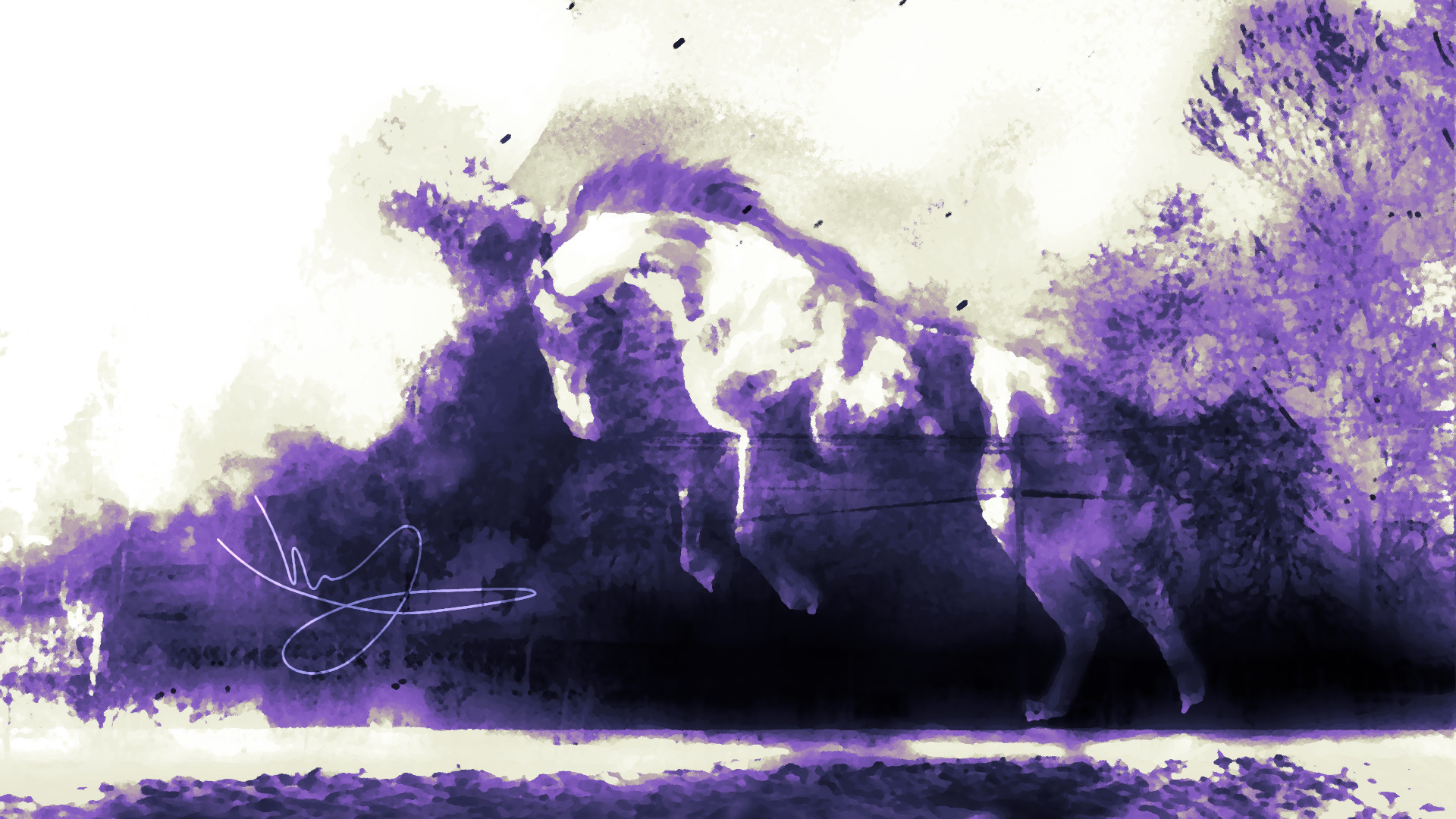 grafika autorstwa Vvjuxvex